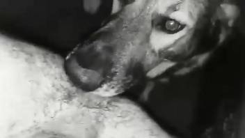 Naked bab shares crazy anal oral porn with his dog