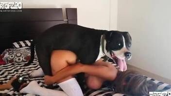 Sexy nude babe taped when sharing a dog dick on cam