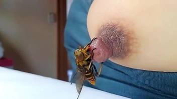 Bee stinging the shit out of this nipple on camera
