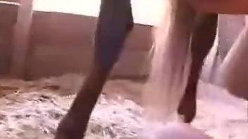 Brunette babe gets even hornier after horse sex