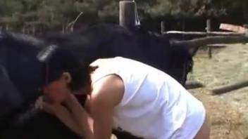 Black stallion gets nicely sucked by passionate brunette zoophile