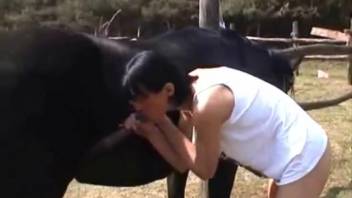 Ebony horse receives pleasurable oral from eager dark-haired animal enthusiast