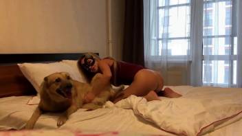 Hot blonde chick in skimpy strap lingerie getting fucked by a dog