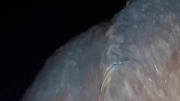 Man deep fucks horse in the ass in the middle of the night