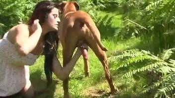 Sexy lady enjoys the taste of fresh dog cock