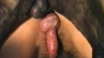 Adorable blondie and big doggy are enjoying nasty bestiality fuck