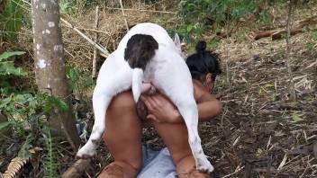 Hot bitch getting frisky with an animal's red noodle