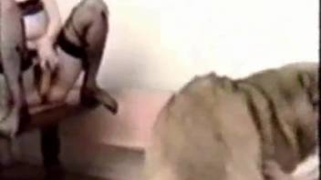Older women are enjoying themselves with the dog in an authentic zoo XXX fetish