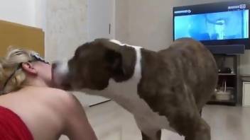 Big boobs blonde getting fucked by a juicy dog