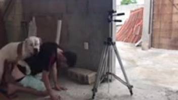 Guy fucked by a filthy mutt in a steamy adult flick