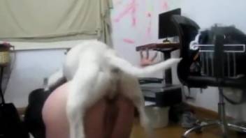 Bootyful babe getting fucked by a white dog from behind