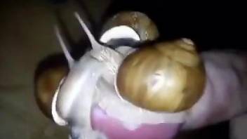 Man masturbates with snails crawling over his dick