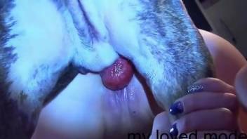 Hot babe with a wet pussy getting screwed by a pooch
