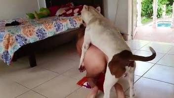 Masked blonde with big tits having fun with a dog
