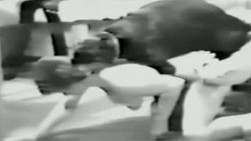 Black and white porn film centering on vintage bestiality desire