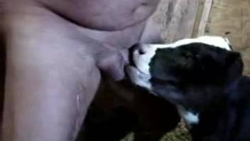 Guy allows this bitch to blow his tasty cock on webcam