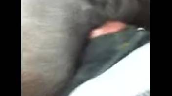 Horny guy records himself deeply fucking the dog in the butt