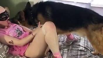 Masked beauty in all pink is going to fuck a dog