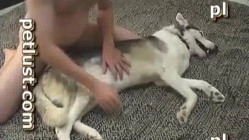 Dude sucking on a dog's dong like a true slut