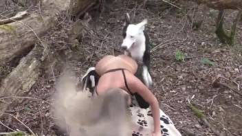 Blonde in a mask getting frisky with dirty dogs