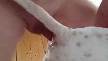 Aroused man doggy fucks his dog and comes in its ass