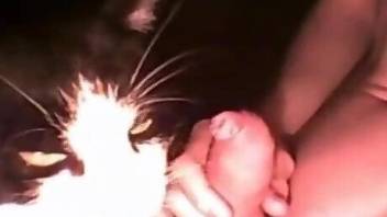 Sexy cat licking this dude's asshole and cock too