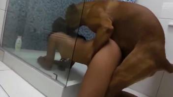 Bitch with a tight hole fucked by a brown mutt