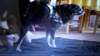 Sexy beast being masturbated by an aroused man