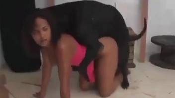 Attractive amateur getting banged by a black mutt