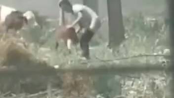 Man demonstrating his erotic skills alongside several animals