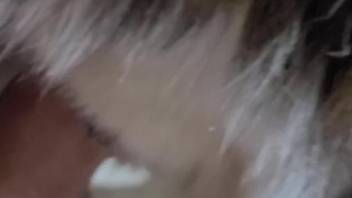 Orgasm