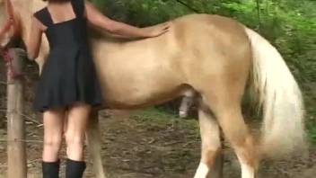 Slim young woman and aroused rancher are blowing the stud horse's cock