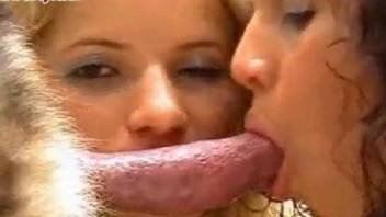 Passionate Latino women agree to share a dog's cock