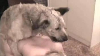 Blonde tries her best to seduce a moderately aroused dog