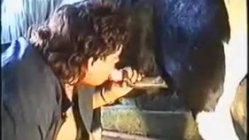 Rural woman thrusts her fist deeply into the horse's snug rear