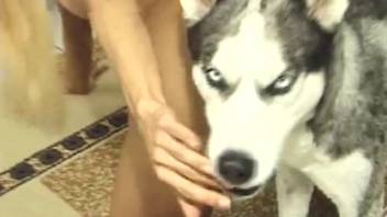 Attractive Latina with an impeccable backside getting vigorously hammered by a shaggy dog