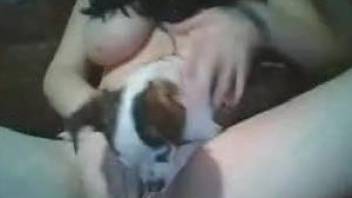 dog whore