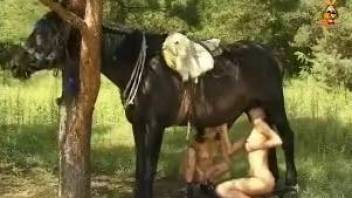 Giant horse penis for horny wives avid for a good zoo porn